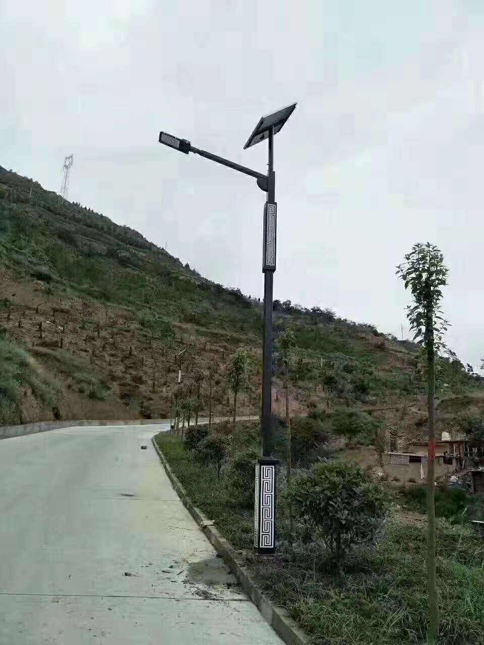 庆元县仿古太阳能路灯